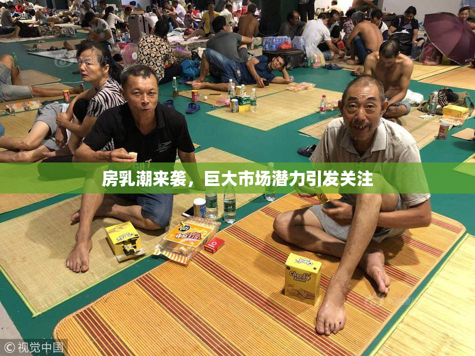 房乳潮来袭，巨大市场潜力引发关注