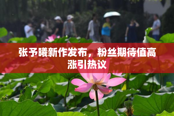 张予曦新作发布，粉丝期待值高涨引热议