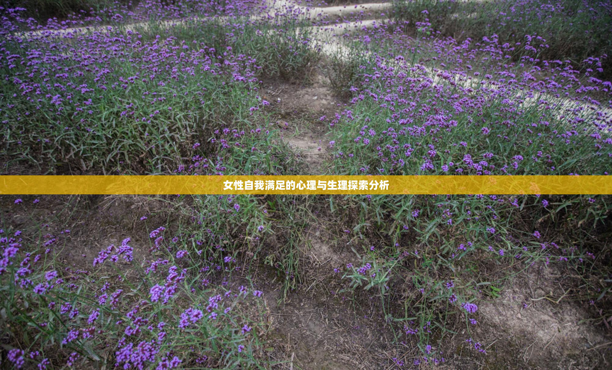 女性自我满足的心理与生理探索分析