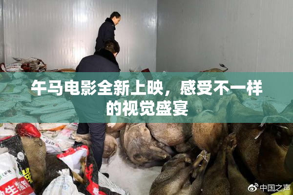午马电影全新上映，感受不一样的视觉盛宴