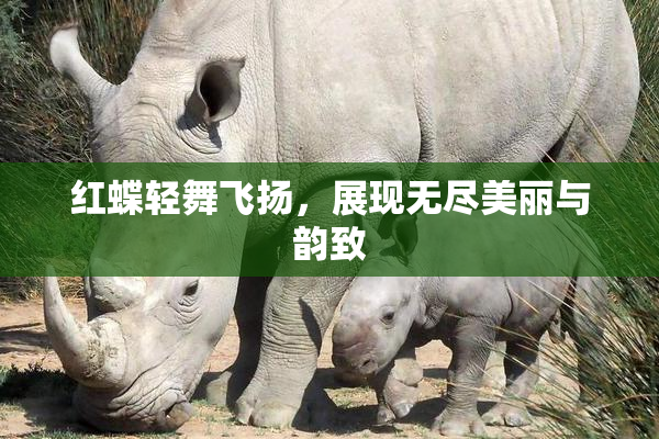 红蝶轻舞飞扬，展现无尽美丽与韵致