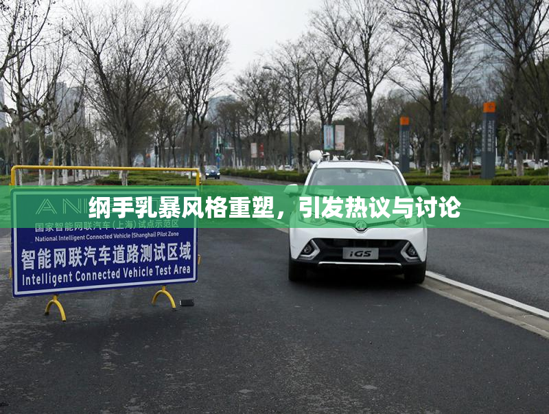 纲手乳暴风格重塑，引发热议与讨论
