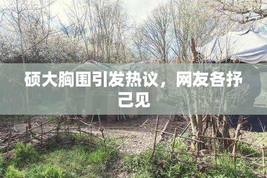 硕大胸围引发热议，网友各抒己见