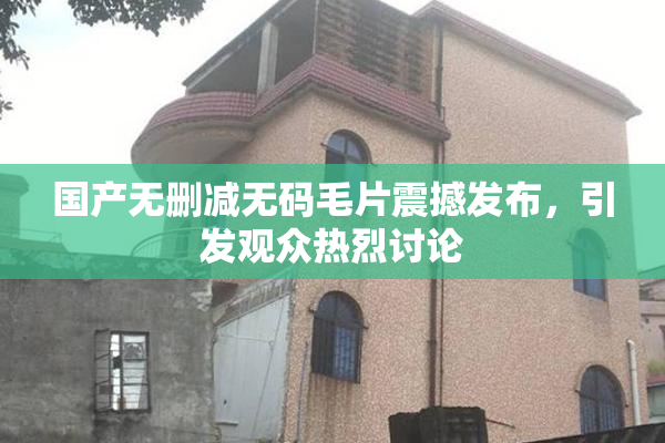 国产无删减无码毛片震撼发布，引发观众热烈讨论