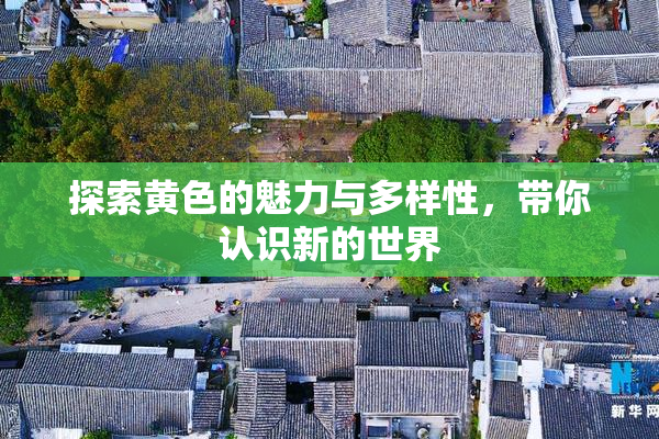 探索黄色的魅力与多样性，带你认识新的世界
