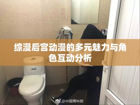 综漫后宫动漫的多元魅力与角色互动分析