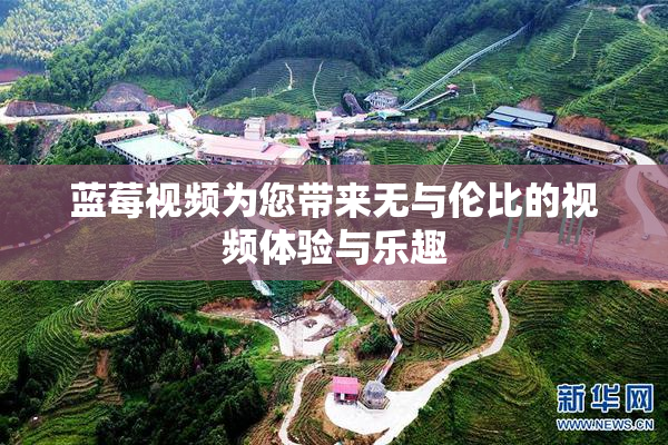 蓝莓视频为您带来无与伦比的视频体验与乐趣