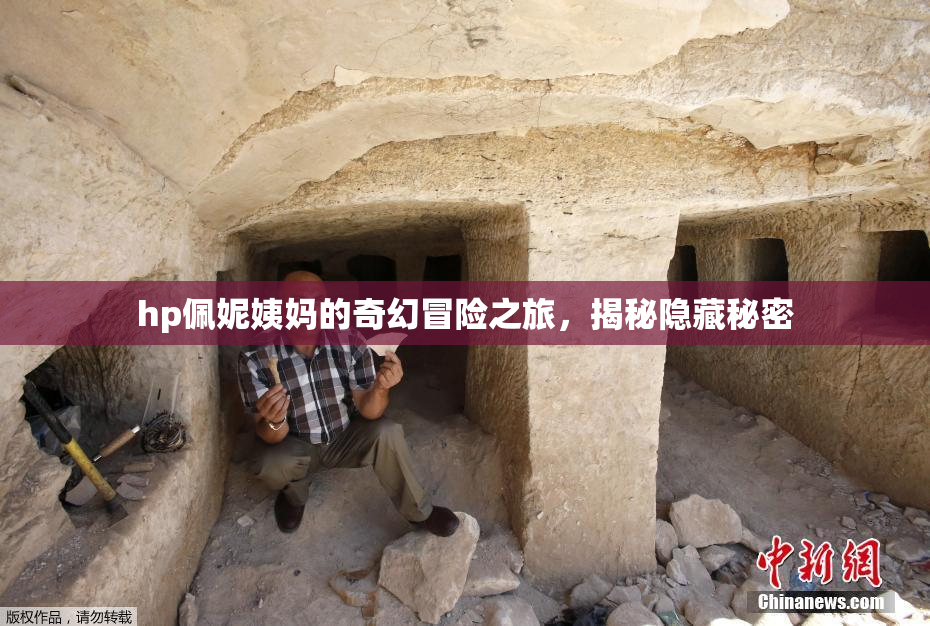 hp佩妮姨妈的奇幻冒险之旅，揭秘隐藏秘密