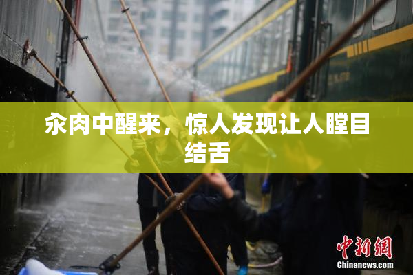 汆肉中醒来，惊人发现让人瞠目结舌