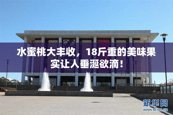 水蜜桃大丰收，18斤重的美味果实让人垂涎欲滴！