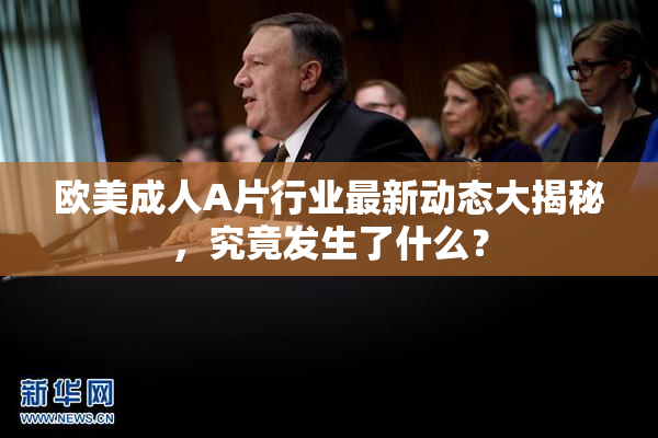 欧美成人A片行业最新动态大揭秘，究竟发生了什么？