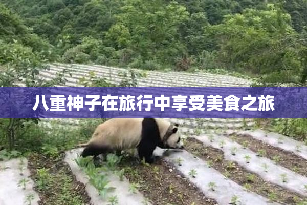 八重神子在旅行中享受美食之旅
