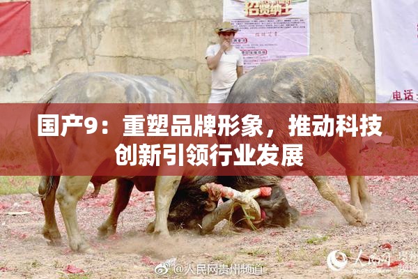 国产9：重塑品牌形象，推动科技创新引领行业发展