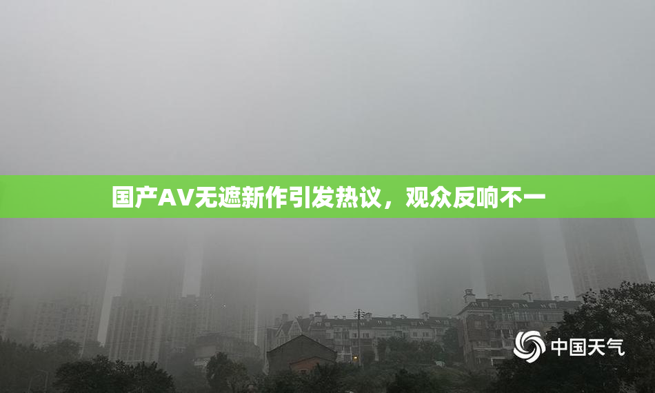 国产AV无遮新作引发热议，观众反响不一