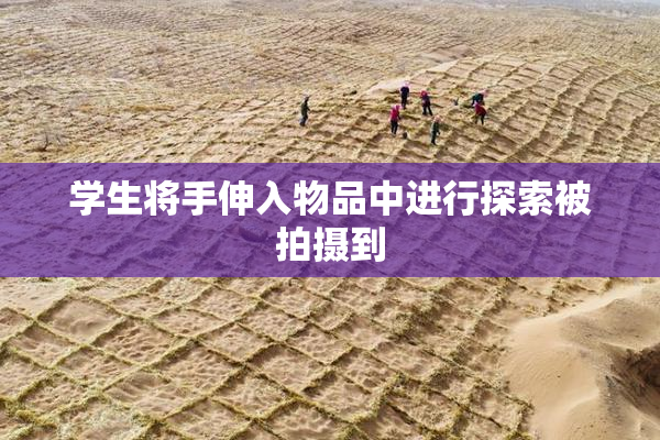 学生将手伸入物品中进行探索被拍摄到