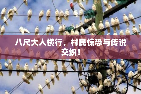 八尺大人横行，村民惊恐与传说交织！