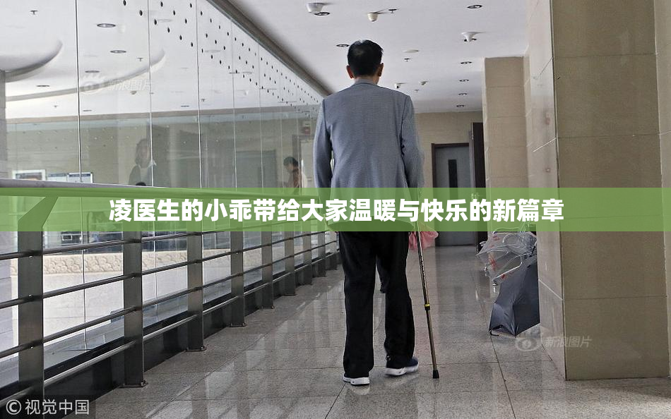 凌医生的小乖带给大家温暖与快乐的新篇章