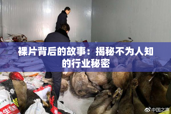 裸片背后的故事：揭秘不为人知的行业秘密