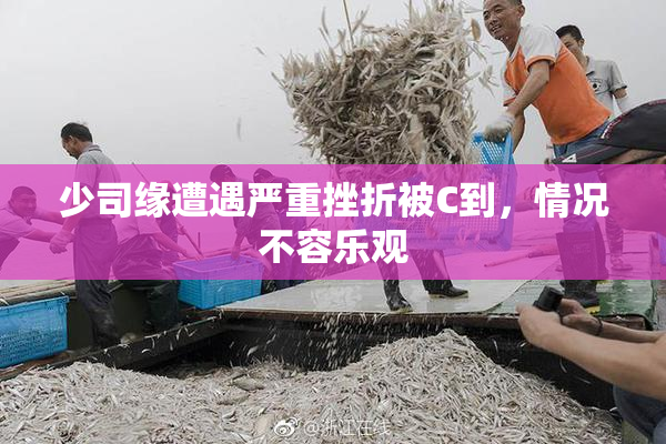 少司缘遭遇严重挫折被C到，情况不容乐观