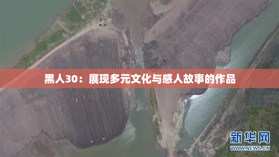 黑人30：展现多元文化与感人故事的作品