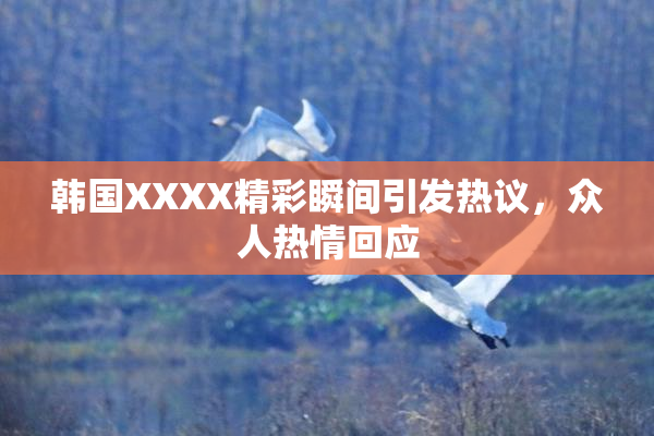 韩国XXXX精彩瞬间引发热议，众人热情回应