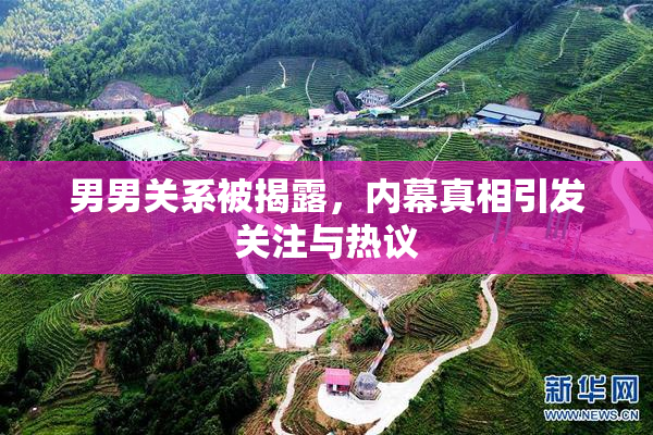 男男关系被揭露，内幕真相引发关注与热议