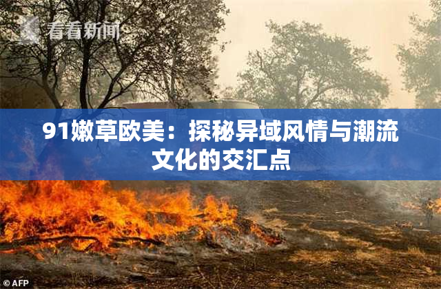 91嫩草欧美：探秘异域风情与潮流文化的交汇点