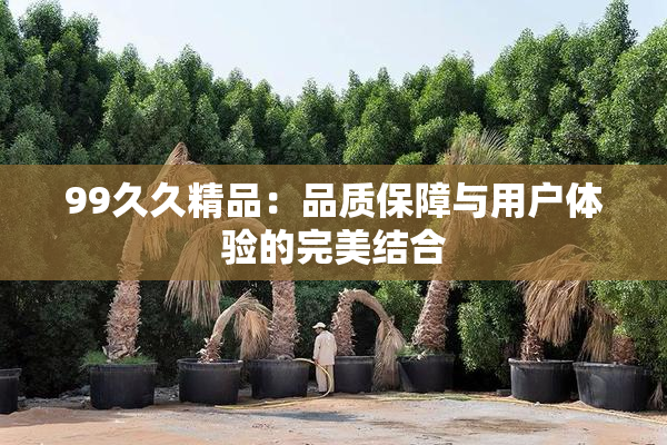 99久久精品：品质保障与用户体验的完美结合