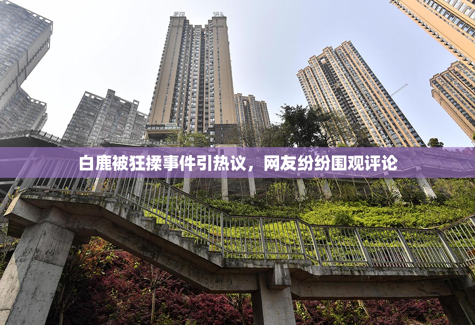 白鹿被狂揉事件引热议，网友纷纷围观评论