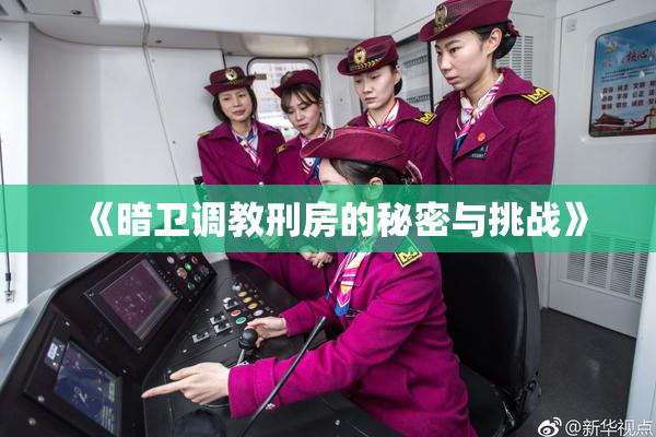 《暗卫调教刑房的秘密与挑战》