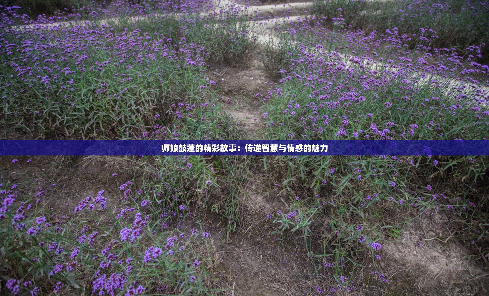 师娘鼓蓬的精彩故事：传递智慧与情感的魅力