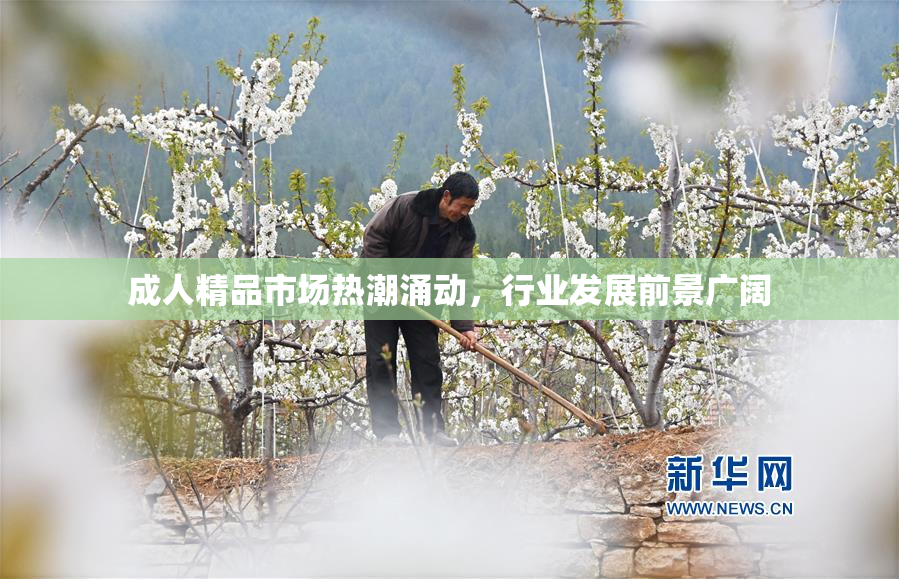 成人精品市场热潮涌动，行业发展前景广阔