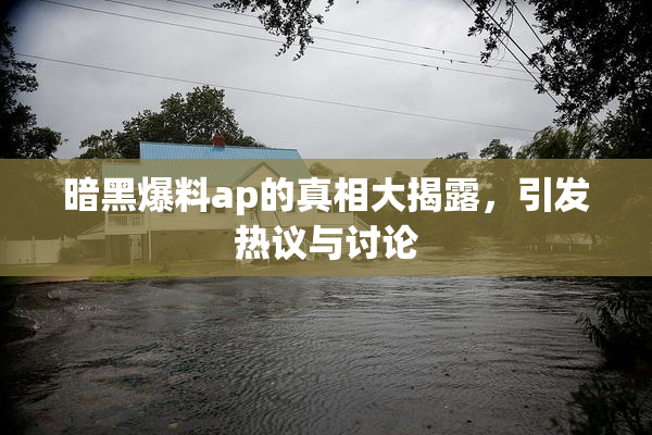 暗黑爆料ap的真相大揭露，引发热议与讨论