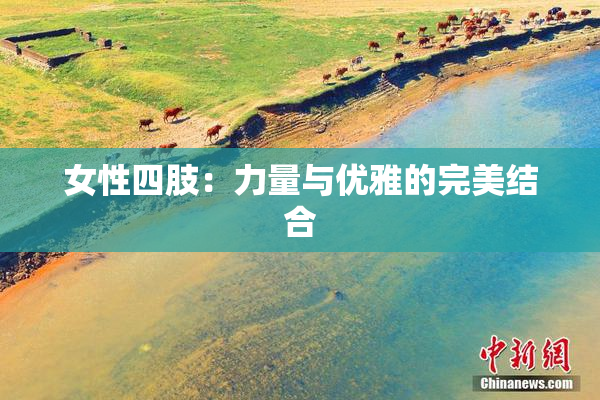 女性四肢：力量与优雅的完美结合