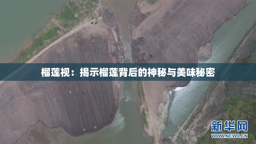 榴莲视：揭示榴莲背后的神秘与美味秘密