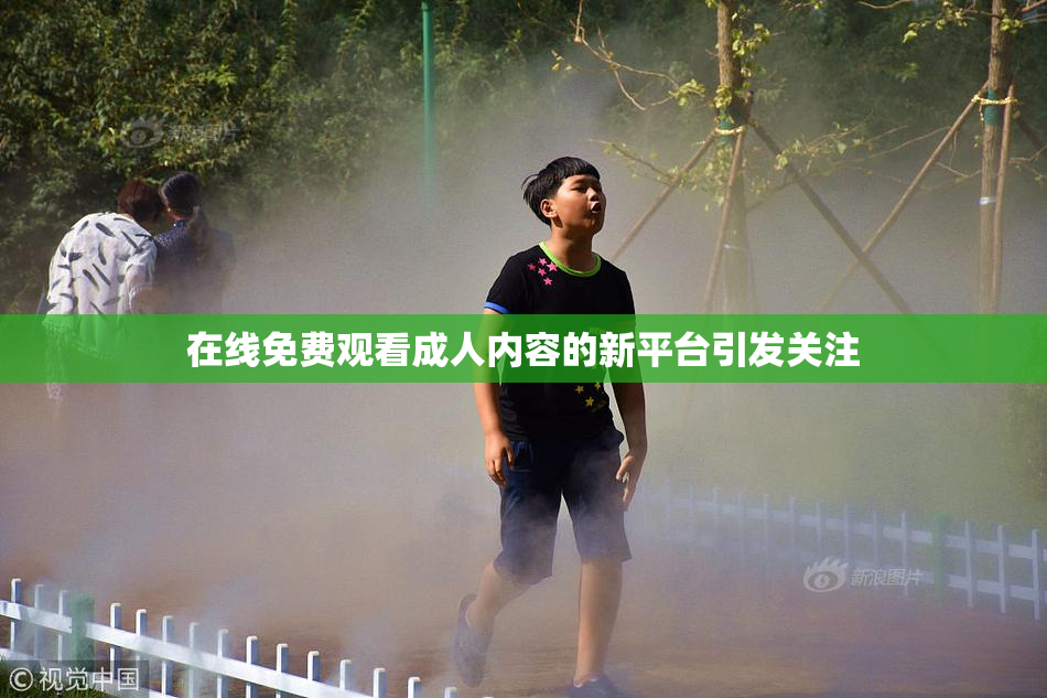 在线免费观看成人内容的新平台引发关注