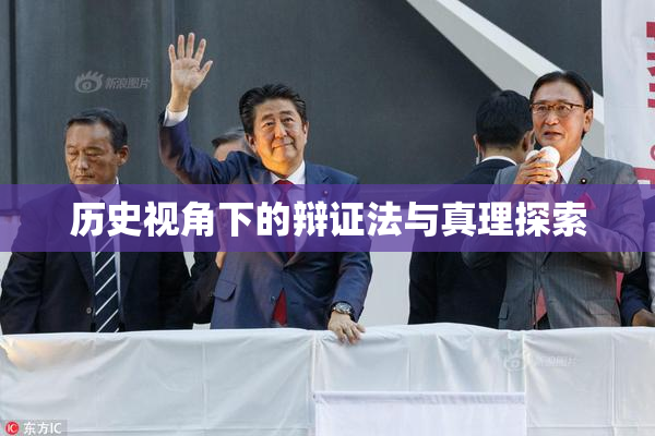 历史视角下的辩证法与真理探索