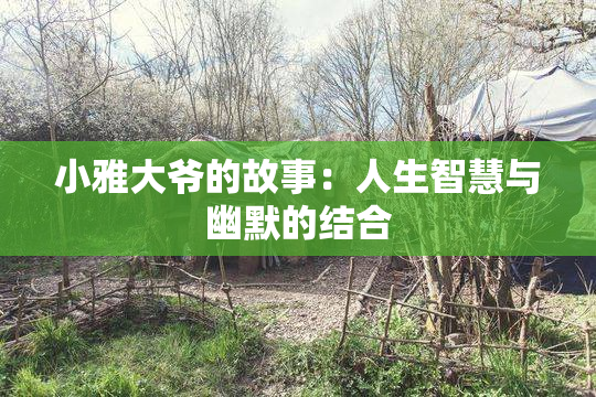 小雅大爷的故事：人生智慧与幽默的结合
