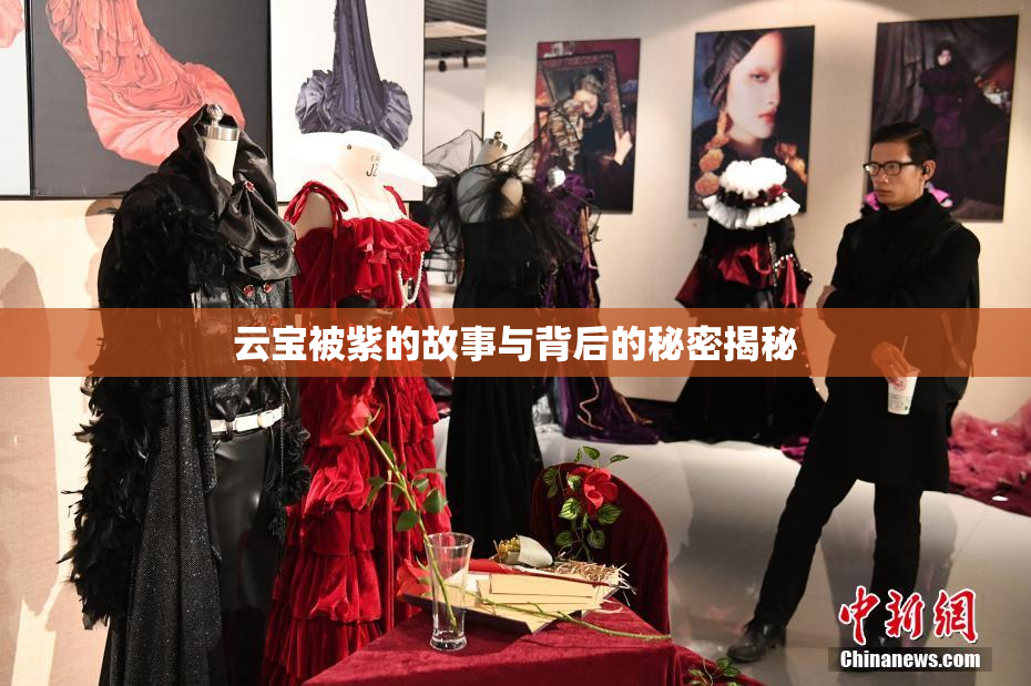 云宝被紫的故事与背后的秘密揭秘