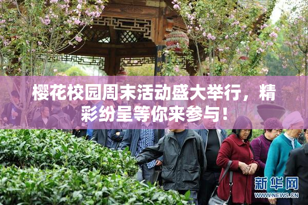 樱花校园周末活动盛大举行，精彩纷呈等你来参与！