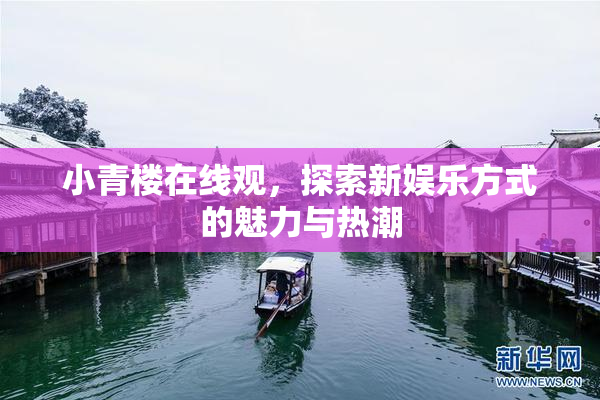 小青楼在线观，探索新娱乐方式的魅力与热潮
