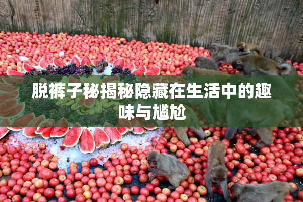脱裤子秘揭秘隐藏在生活中的趣味与尴尬