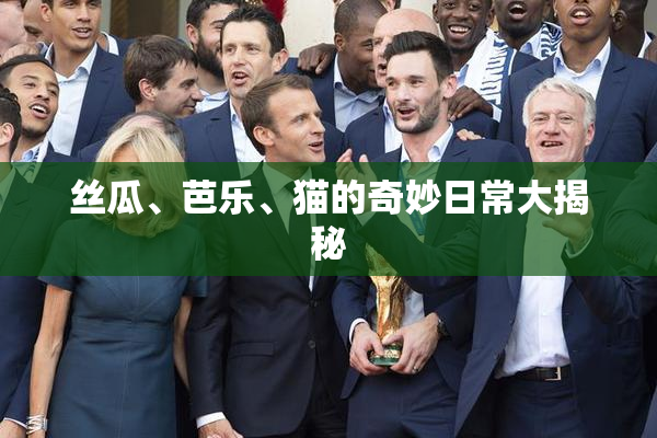 丝瓜、芭乐、猫的奇妙日常大揭秘
