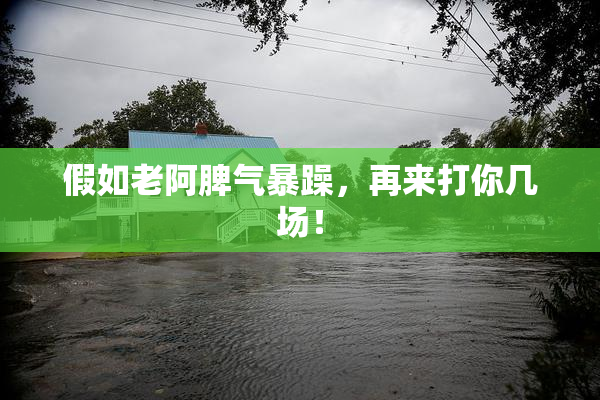 假如老阿脾气暴躁，再来打你几场！