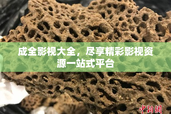 成全影视大全，尽享精彩影视资源一站式平台