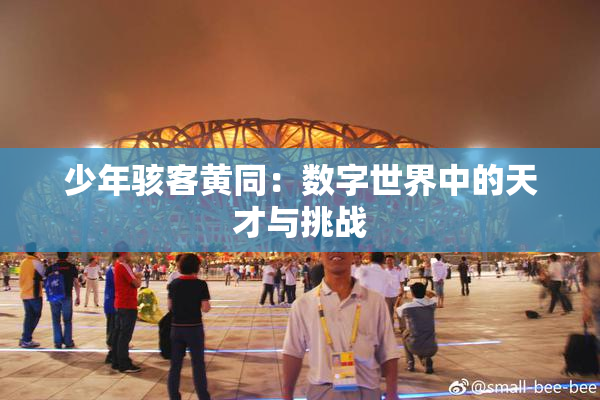 少年骇客黄同：数字世界中的天才与挑战