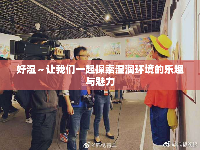 好湿～让我们一起探索湿润环境的乐趣与魅力