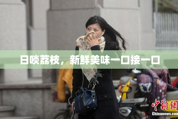 日啖荔枝，新鲜美味一口接一口