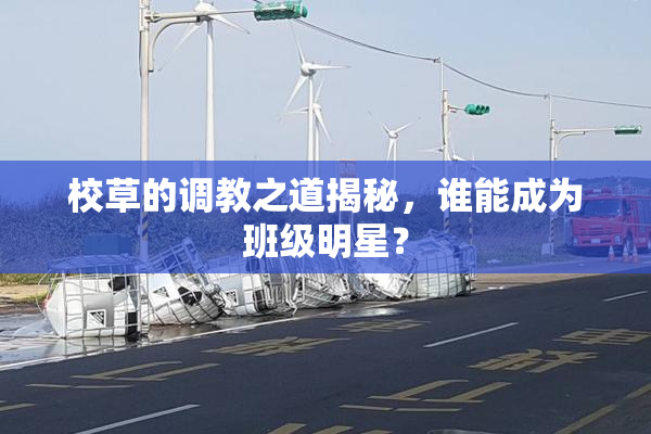 校草的调教之道揭秘，谁能成为班级明星？