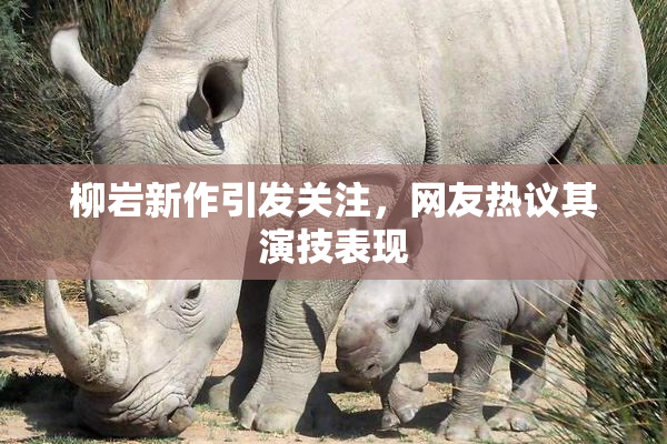 柳岩新作引发关注，网友热议其演技表现